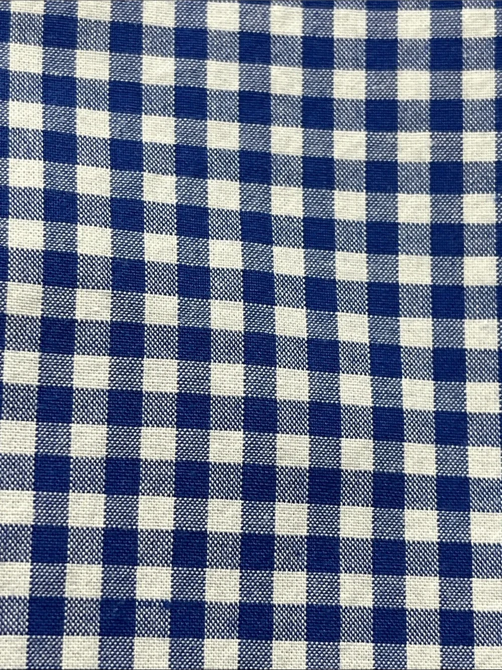 Ralph Lauren Shirt